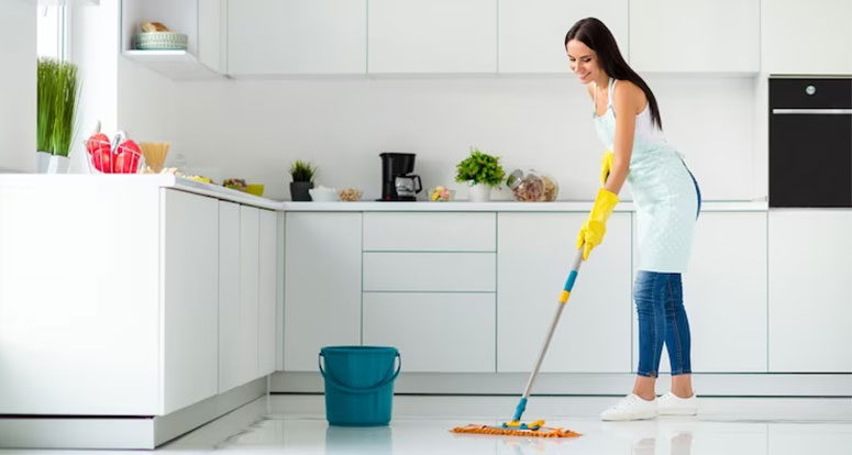 Local House Cleaning Services