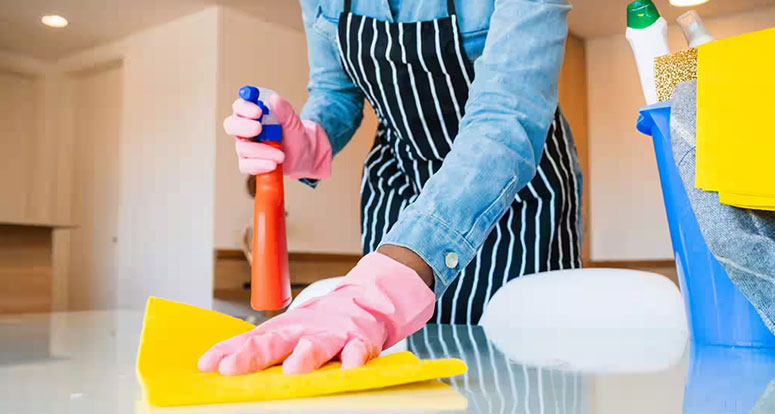 Local House Cleaning Services