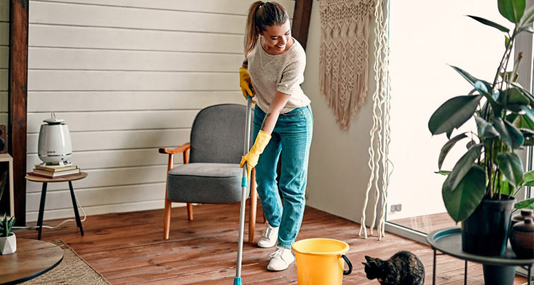 Cleaning Strategies for Different Types of Albuquerque