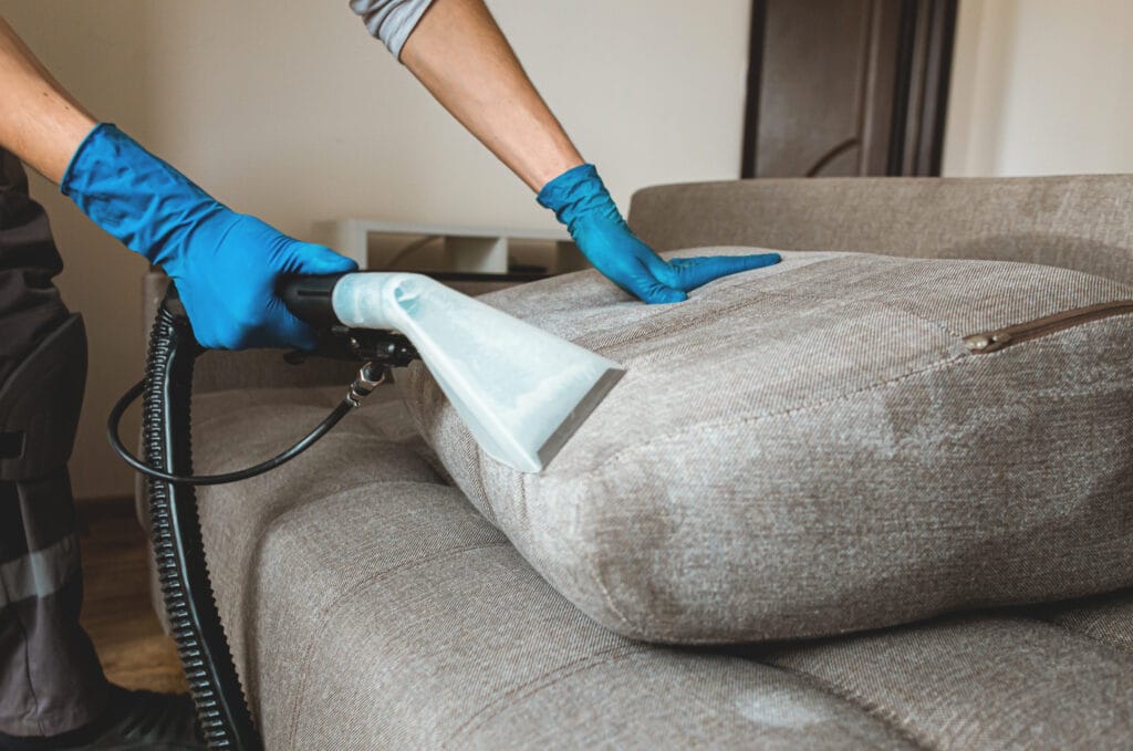 carpet cleaning Albuquerque
